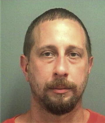 Louis Llanes - Palm Beach County, FL 
